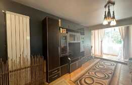 Apartament de 2 camere, mobilat si utilat, 50 mp, Tatarasi