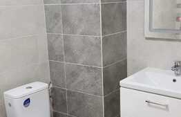 Apartament 2 camere, 50 mp, etaj intermediar, River Towers