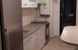 Apartament 2 camere, 50 mp, etaj intermediar, River Towers