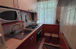 Apartament de 2 camere, etaj intermediar, zona Alexandru Cel Bun
