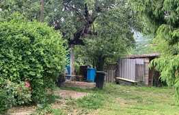 Casa 70 mp, teren 1600 mp, zona Visani