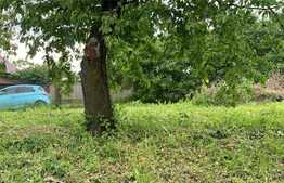 Casa 70 mp, teren 1600 mp, zona Visani