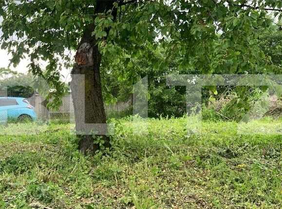 Casa de vânzare 3 camere Visani - 90502CV | BLITZ Iași | Poza5