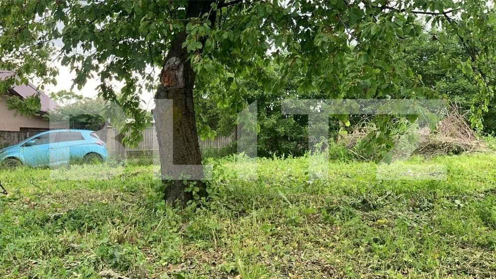 Casa de vânzare 3 camere Visani - 90502CV | BLITZ Iași | Poza5