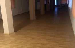 Casa individuala, 1050 mp, teren 2400 mp, zona Tomesti 