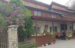 Casa individuala, 1575 mp, teren, zona Podul de Fier