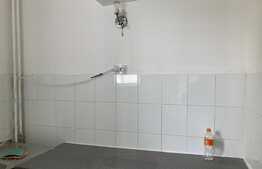 Apartament de 1 camera, 24 mp, etaj intermediar, zona Alexandru cel Bun