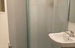 Apartament de 1 camera, 24 mp, etaj intermediar, zona Alexandru cel Bun