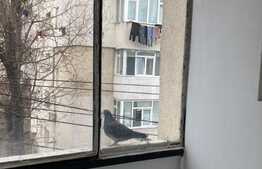 Apartament de 1 camera, 24 mp, etaj intermediar, zona Alexandru cel Bun