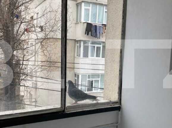 Garsonieră de vânzare Alexandru cel Bun - 90510AV | BLITZ Iași | Poza4