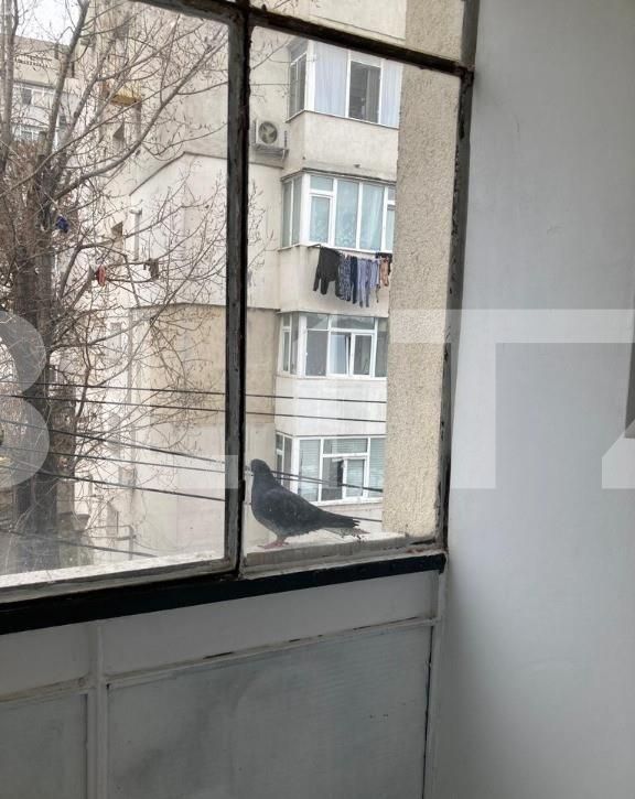 Garsonieră de vânzare Alexandru cel Bun - 90510AV | BLITZ Iași | Poza4