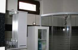 Casa individuala, 133 mp, zona Pacurari