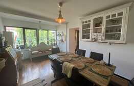 Casa duplex, mobilata stil eclectic, 114 mp, Barnova