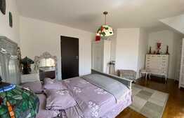 Casa duplex, mobilata stil eclectic, 114 mp, Barnova