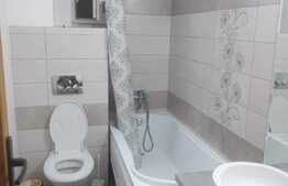 Apartament de 3 camere, decomandat, 60 mp, zona Pacurari