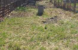 Casa batraneasca si teren, 450 mp, zona Tatarasi 