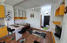 Apartament de 1 camera, modern, 30 mp, zona Tatarasi