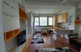 Apartament de 1 camera, modern, 30 mp, zona Tatarasi