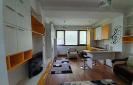 Apartament de 1 camera, modern, 30 mp, zona Tatarasi