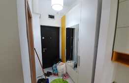 Apartament de 1 camera, modern, 30 mp, zona Tatarasi