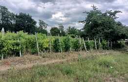 Teren intravilan, 1170 mp, in Ciurea