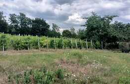 Teren intravilan, 1170 mp, in Ciurea