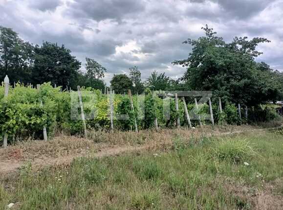 Teren casa intravilan 1170 mp Ciurea, Iasi | Poza1