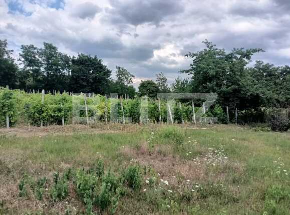 Teren casa intravilan 1170 mp Ciurea, Iasi | Poza2