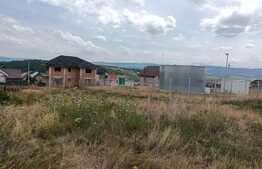 Teren intravilan, 2300 mp, in Dumbrava