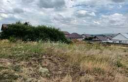 Teren intravilan, 2300 mp, in Dumbrava