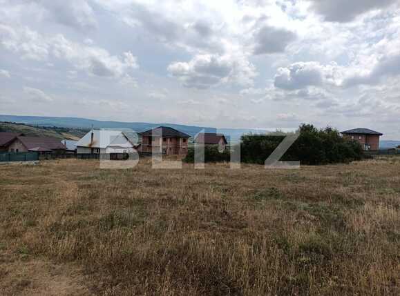 Teren intravilan 2300 mp Dumbrava | Poza2
