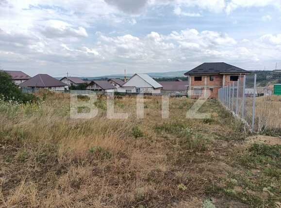 Teren intravilan 2300 mp Dumbrava | Poza4