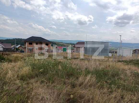 Teren intravilan 2300 mp Dumbrava | Poza1
