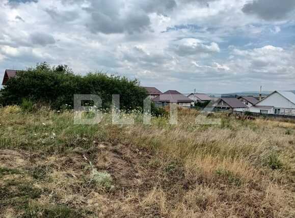 Teren intravilan 2300 mp Dumbrava | Poza3