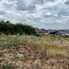 Teren intravilan 2300 mp Dumbrava | Poza3