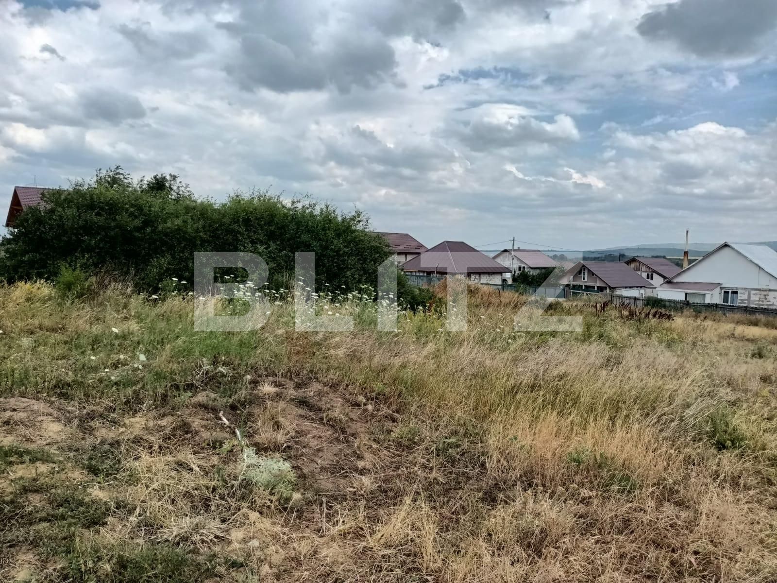 Teren intravilan 2300 mp Dumbrava | Poza3