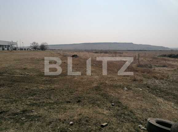 Teren de vânzare Exterior Vest - 91244TV | BLITZ Iași | Poza1