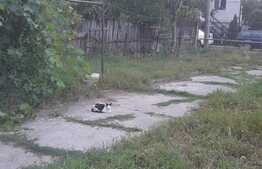 Casa individuala, 55 mp, zona Manta Rosie