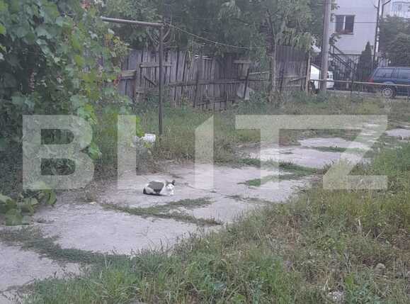 Casa de vânzare 3 camere Frumoasa - 91452CV | BLITZ Iași | Poza2