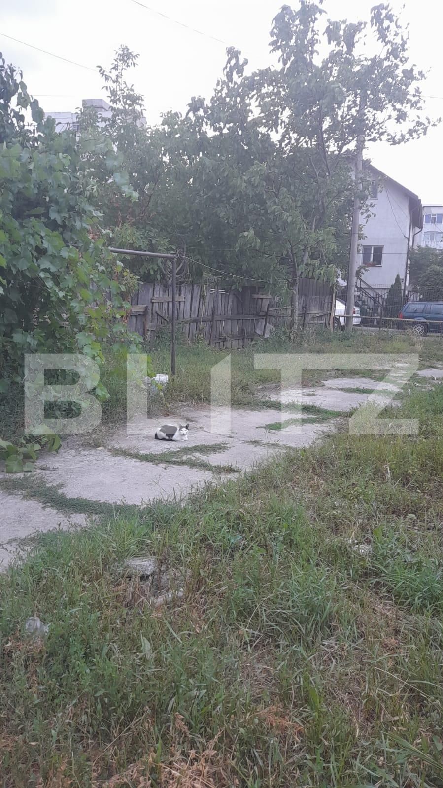 Casa de vânzare 3 camere Frumoasa - 91452CV | BLITZ Iași | Poza2