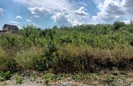 Teren intravilan 500mp+76 mp cale acces, Valea Adanca