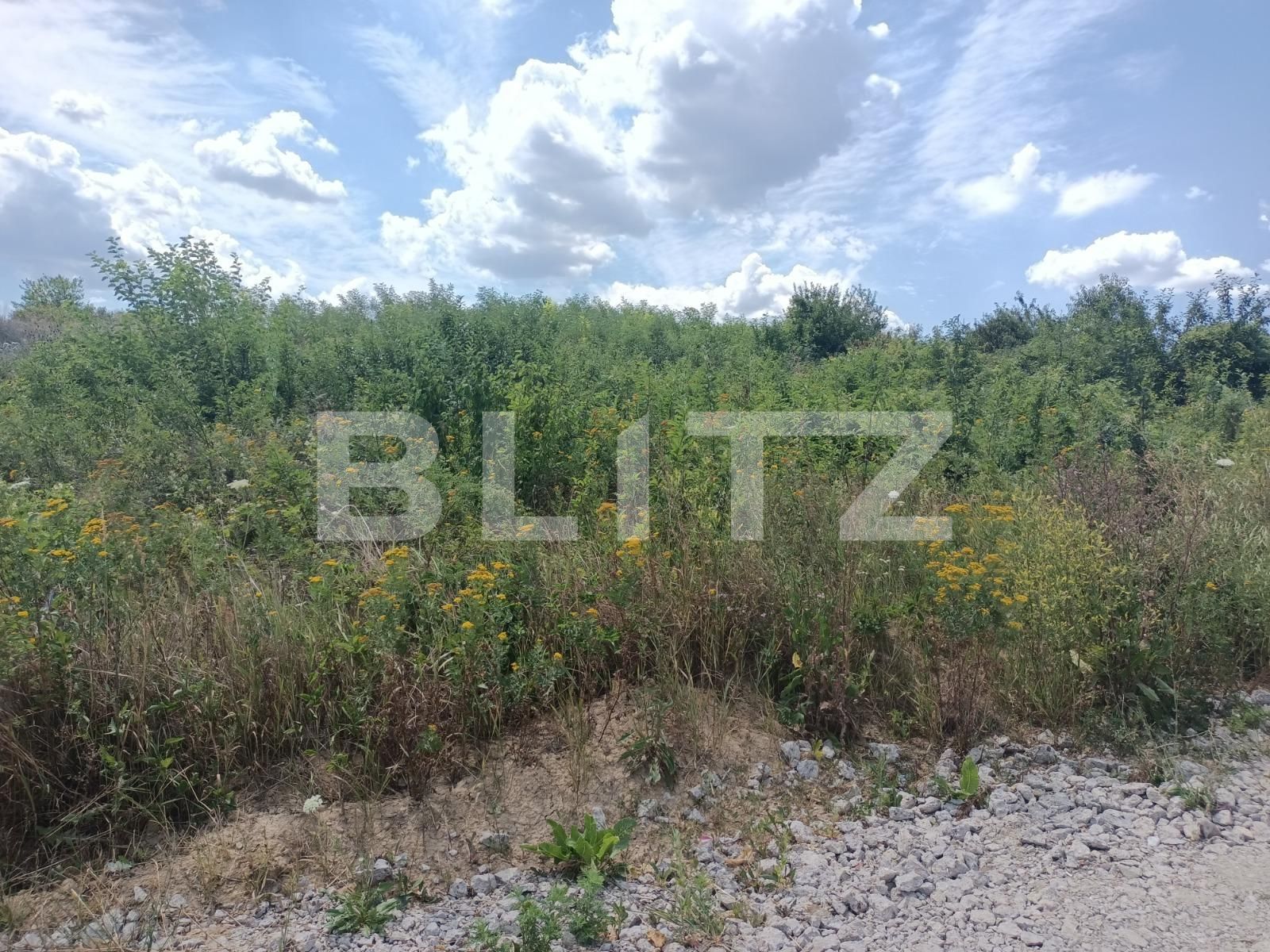 Teren intravilan Valea Adanca, Miroslava, Iasi | BLITZ | Poza2