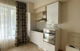 Garsoniera cocheta, 32 mp, parcare, Copou