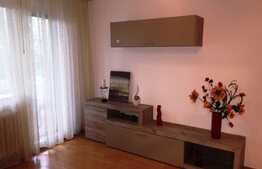 Apartament de 2 camere, 55 mp, posibilitate de parcare, zona Podu Ros