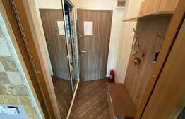 Garsoniera de 18 mp, zona Centrala