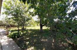 Casa batraneasca si teren, zona Podul Iloaiei