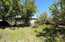 Casa batraneasca si teren, zona Podul Iloaiei