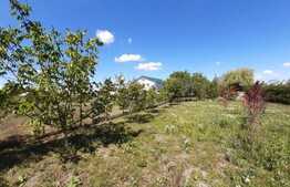 Casa batraneasca si teren, zona Podul Iloaiei