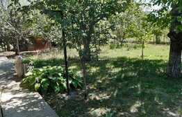 Casa batraneasca si teren, zona Podul Iloaiei