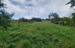 Casa de vacanta, 3 camere, teren 1621 mp, Piciorul Lupului